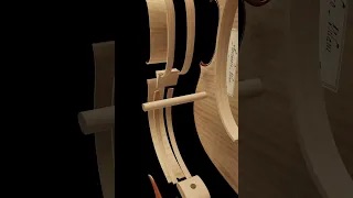 Violino Esploso